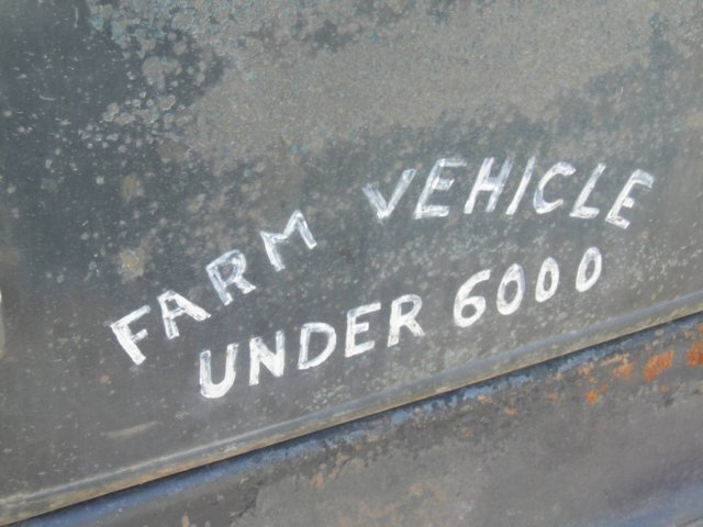photo95.jpg
