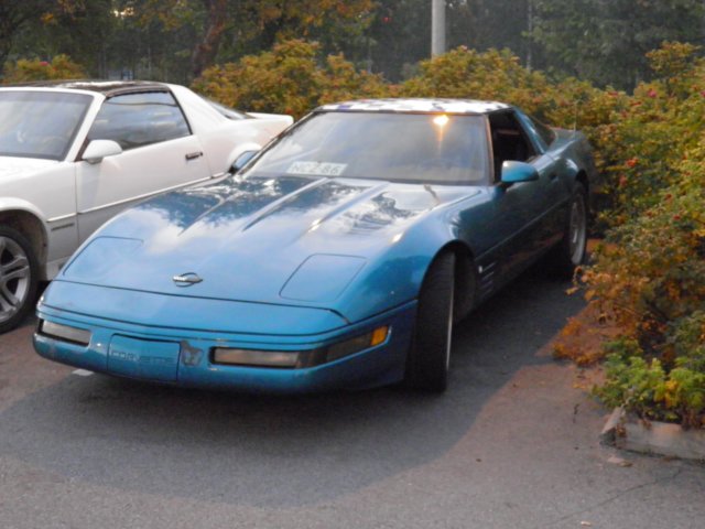 p9100042.jpg