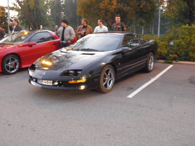 p9100044.jpg