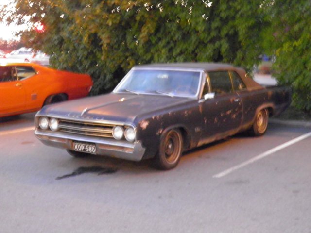 p9100062.jpg