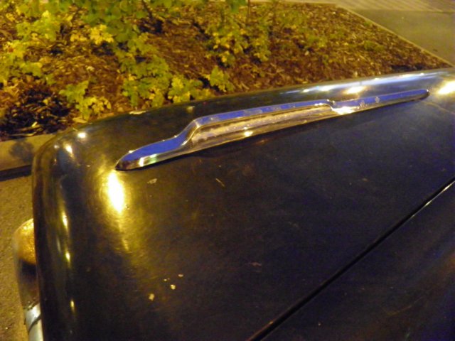 p9100095.jpg