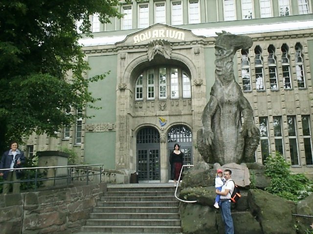 Photograph