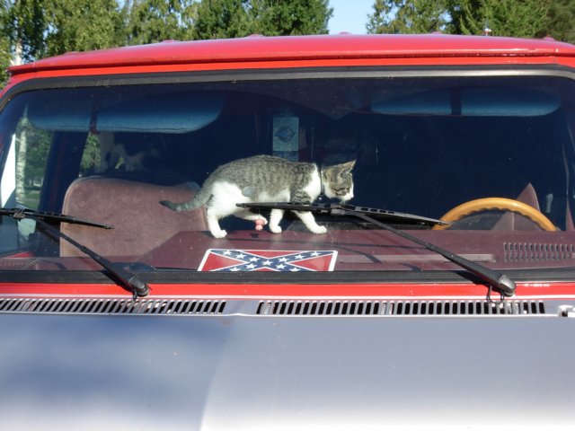 photo39.jpg