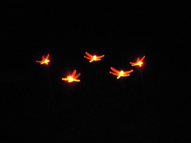 photo47.jpg